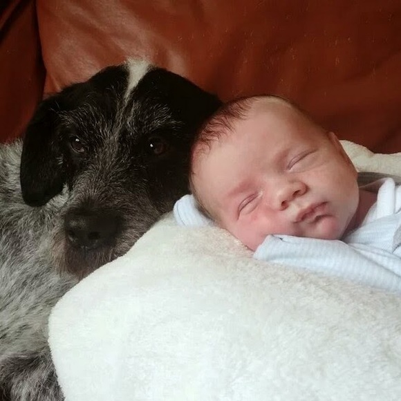 Meet your Posher, Renee - Picture 1 of 1